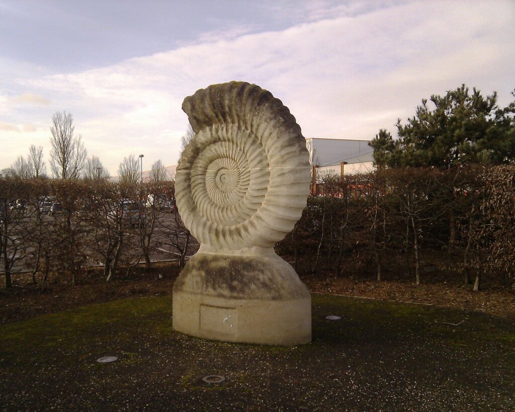 Ammonite, Longwell Green. - panoramio.jpg