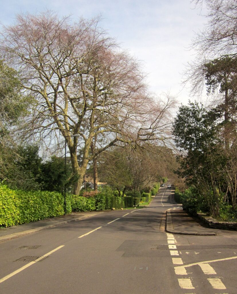 Church Road, Sneyd Park - geograph.org.uk - 3919437.jpg